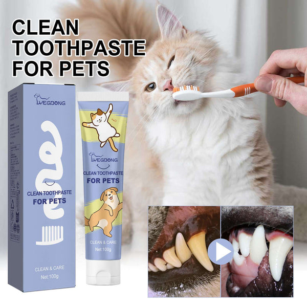 Cat being brushed with toothpaste on orange toothbrush; toothpaste tube and box shown.