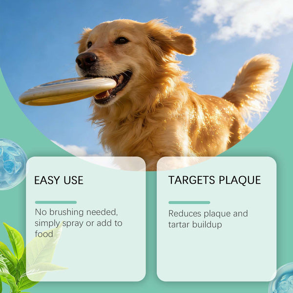 Pet oral spray feature graphic with golden dog; targets plaque and helps reduce tartar buildup