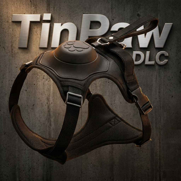 Dog Harness Leash Set - Dog Gear - TinPaw