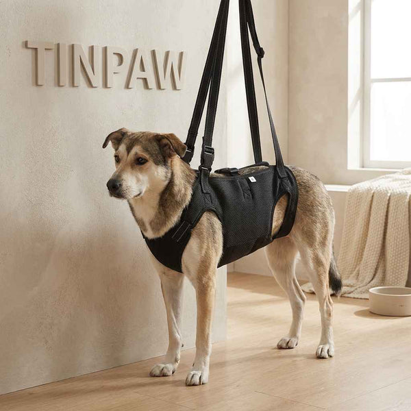 Reflective Dog Support Harness - Dog Gear - TinPaw