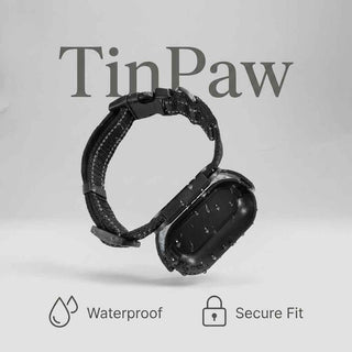 Adjustable Waterproof Pet Collar – Quick - Drying & Durable - Dog Gear - TinPaw