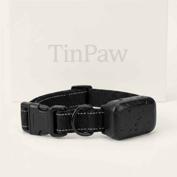 Adjustable Waterproof Pet Collar – Quick - Drying & Durable - Dog Gear - TinPaw