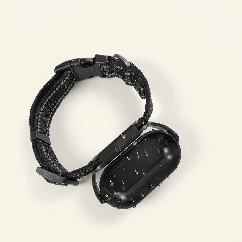 Adjustable Waterproof Pet Collar – Quick - Drying & Durable - Dog Gear - TinPaw