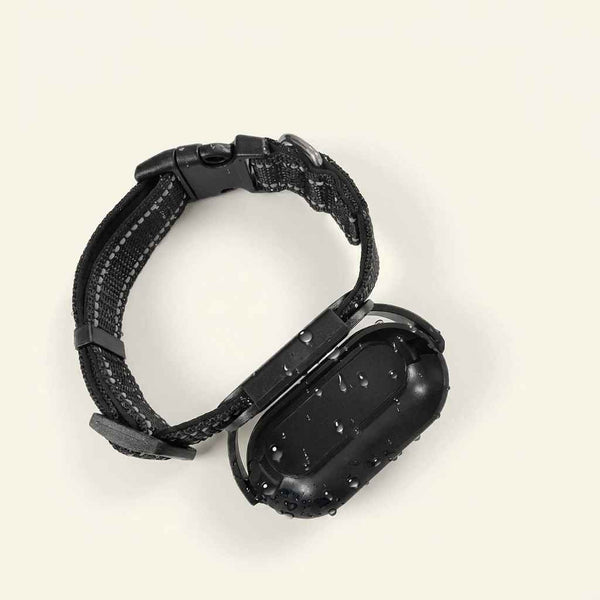 Adjustable Waterproof Pet Collar – Quick - Drying & Durable - Dog Gear - TinPaw