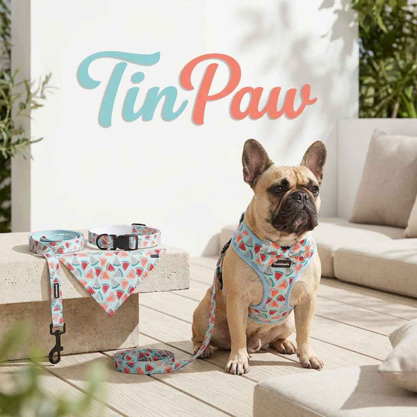 Mesh Dog Harness 5 - Piece - Dog Gear - TinPaw