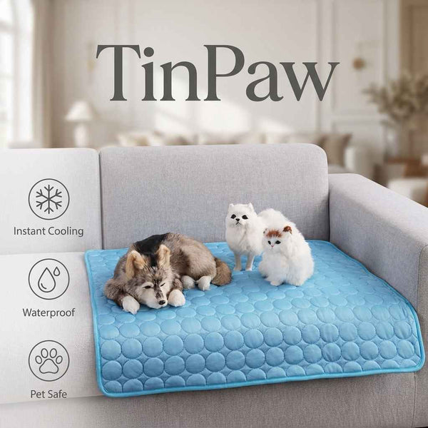Cooling Dog Bed - Dog Beds & Furniture - TinPaw