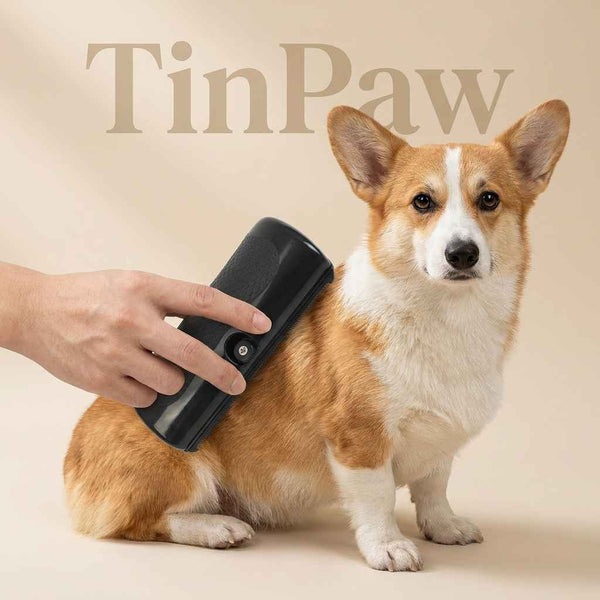 Disposable Pet Bathrobe - Dog Slicker Brushes - TinPaw