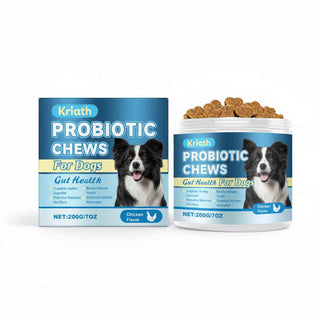 Dog Probiotic Gut Chews - Dog Health - TinPaw - 200G - CJYD263464301AZ
