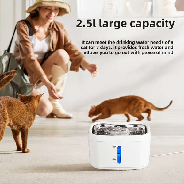 White pet water fountain with clear top basin and blue water level indicator, with cat nearby