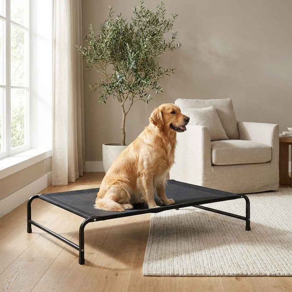 Elevated Foldable Pet Camping Bed - Dog Beds & Furniture - TinPaw