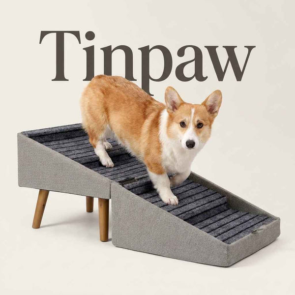Foldable Wooden Pet Ramp - Dog Beds & Furniture - TinPaw