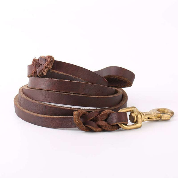 Leather Dog Lead Copper Hook