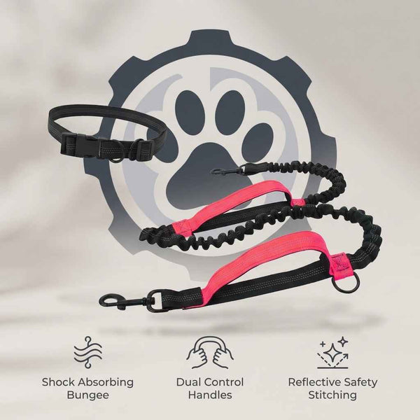 Hands - Free Dog Running Leash with Reflective Waist Belt - Dog Gear - TinPaw