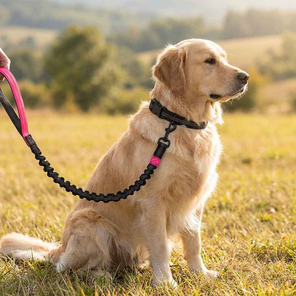 Hands - Free Dog Running Leash with Reflective Waist Belt - Dog Gear - TinPaw