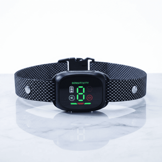 Smart Anti - Bark Collar - Collars - TinPaw - Army green - SU00362163 - Army green