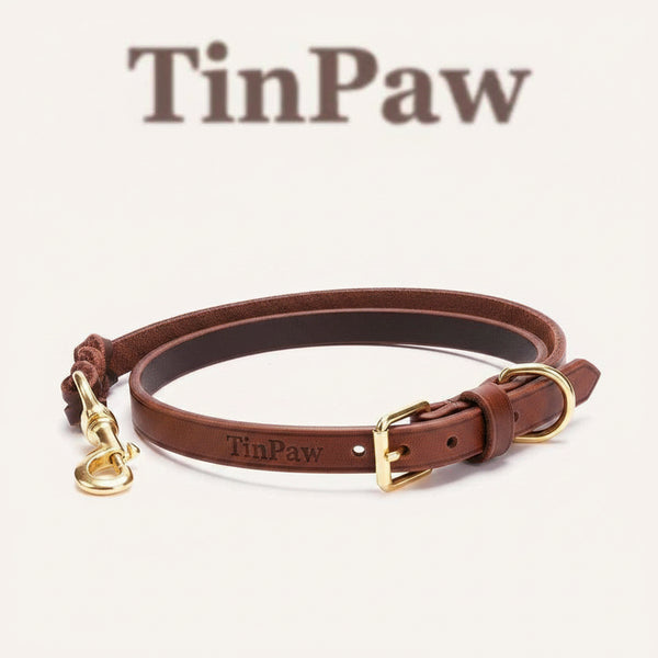 Leather Dog Leash Double Hook