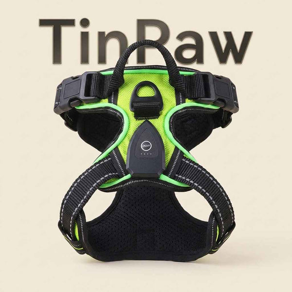 LED Dog Harness Leash USB - Dog Gear - TinPaw
