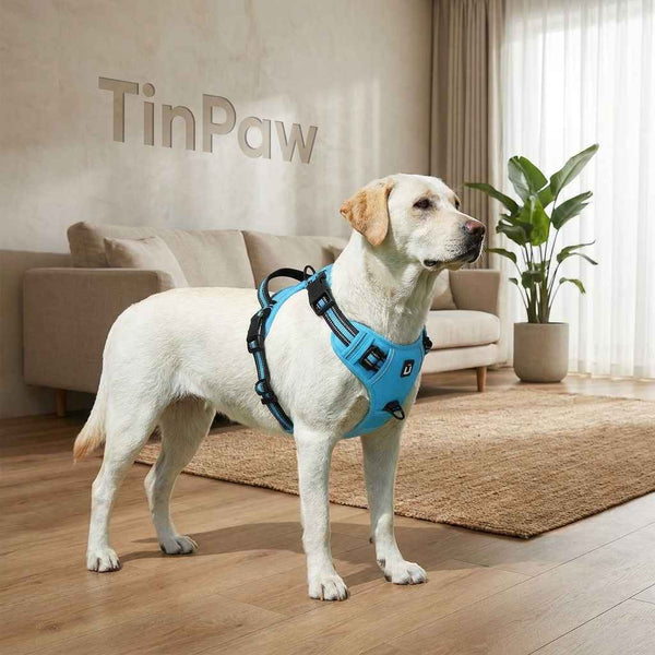 No - Pull Padded Dog Harness Vest – Soft, Adjustable - Dog Gear - TinPaw