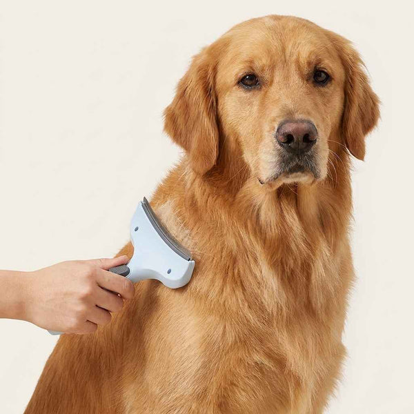 Pet Detangling Steel Comb - Grooming - TinPaw