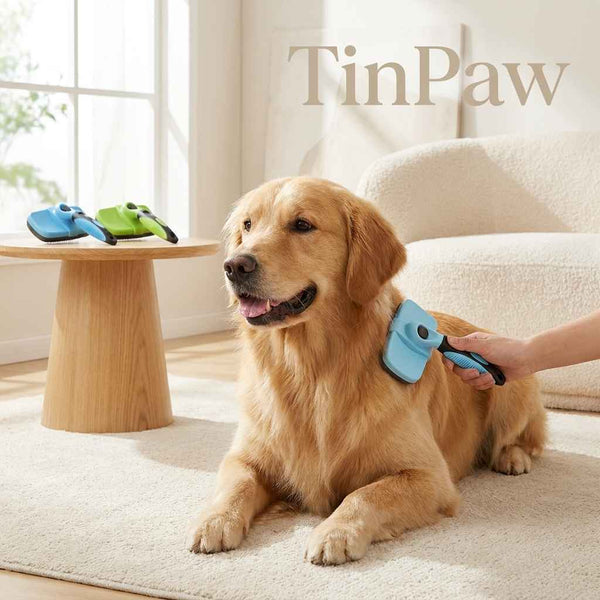 Pet Grooming Needle Comb - Grooming - TinPaw