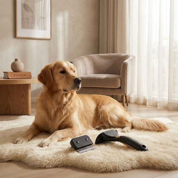 Pet Deshedding Ergonomic Comb - Grooming - TinPaw