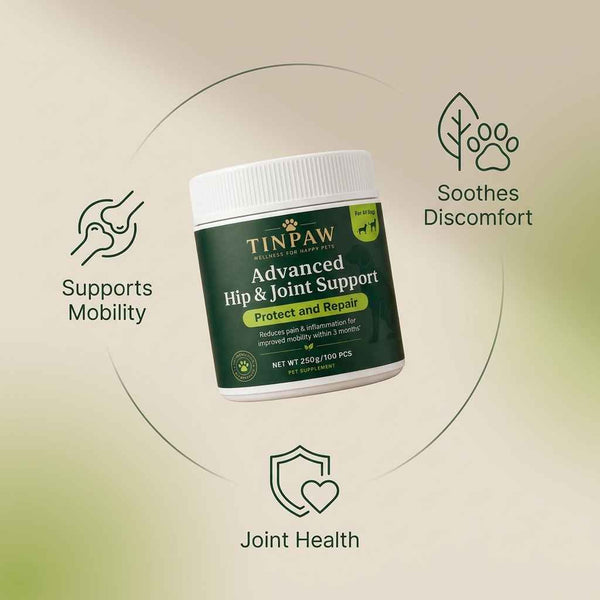 Pet Joint Health Chews - Vitamins & Supplements - TinPaw