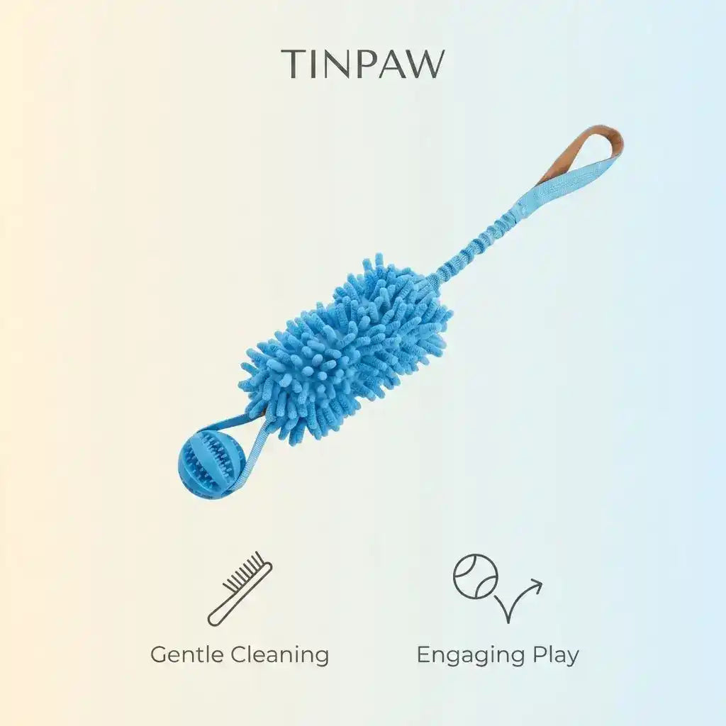 Interactive Dog Toothbrush Toy - Dog Toys - TinPaw