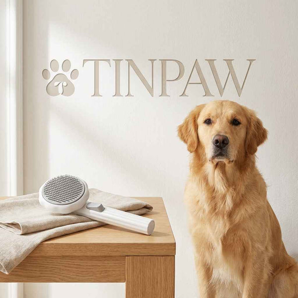 Pumpkin Pet Hair Brush - Dog Slicker Brushes - TinPaw