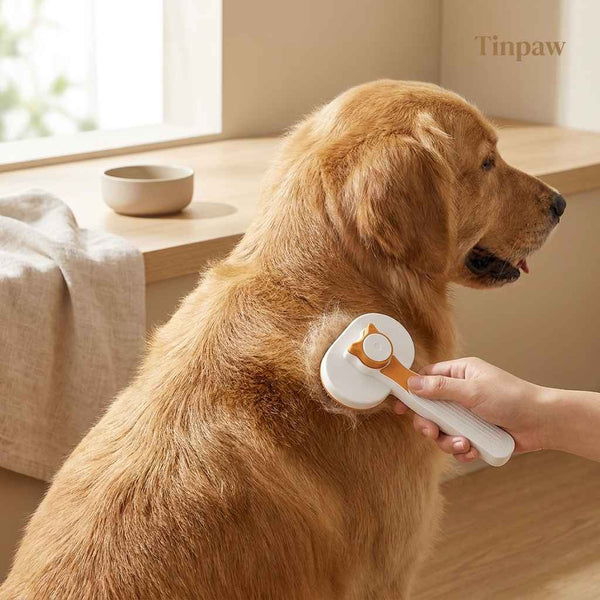 Self - Cleaning Pet Comb - Dog Slicker Brushes - TinPaw