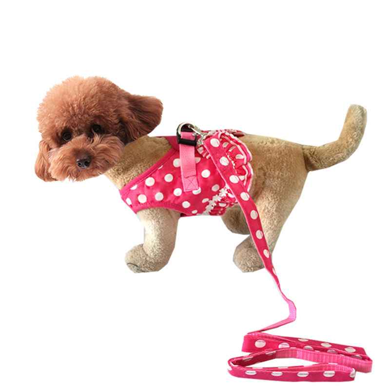 Small Dog Vest Harness Set - Dog Gear - TinPaw - Peach dots - XL traction rope 120cm - SU00357788 - Peach dots - XL traction rope 120cm