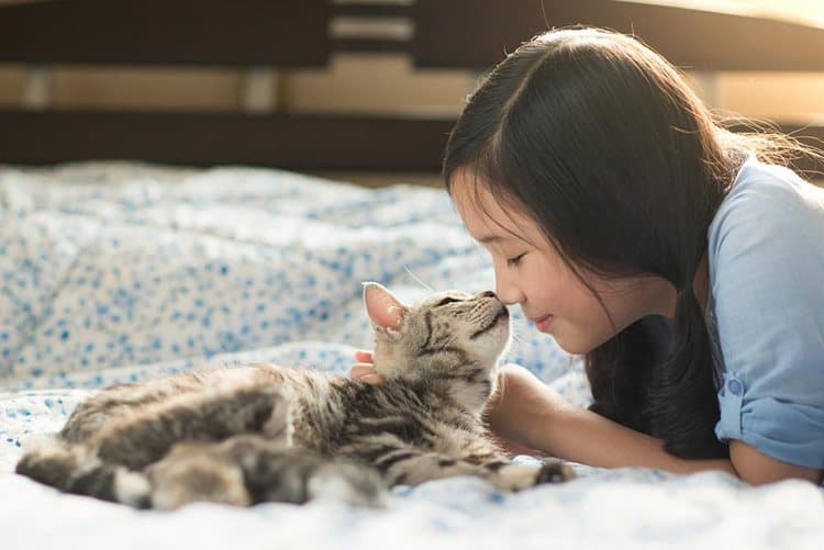 Kids with cats have more than double the risk of developing