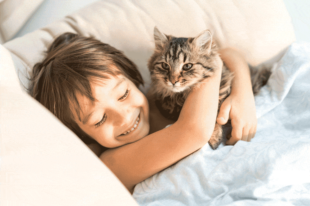 Why-Does-My-Cat-Sleep