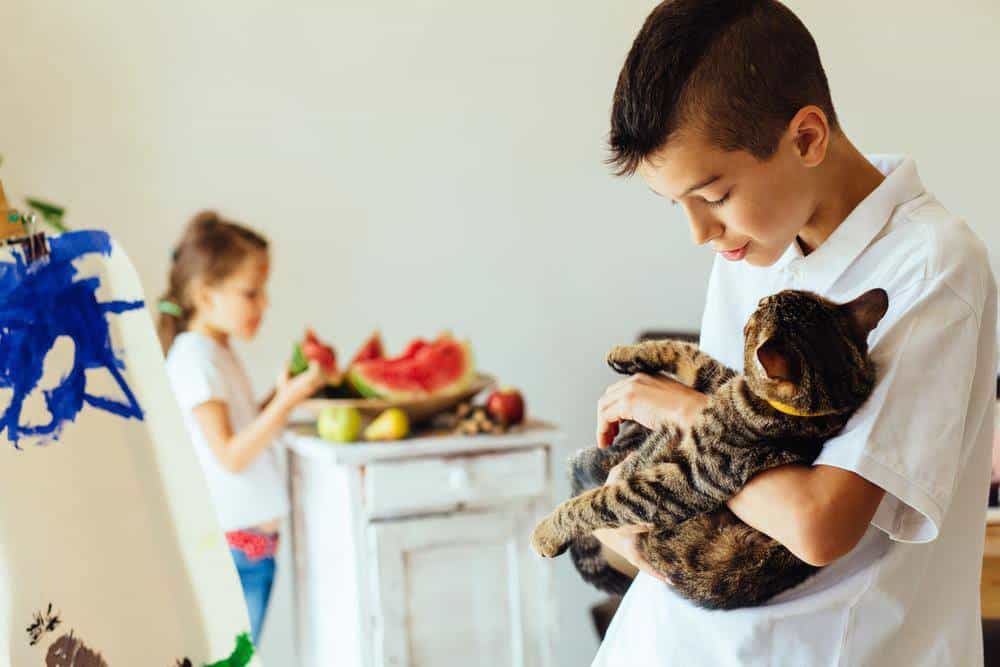 Cats and Watermelon