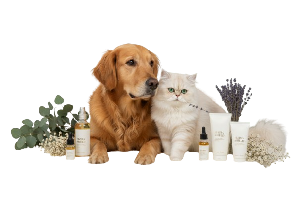 Dog Skin & Coat Care
