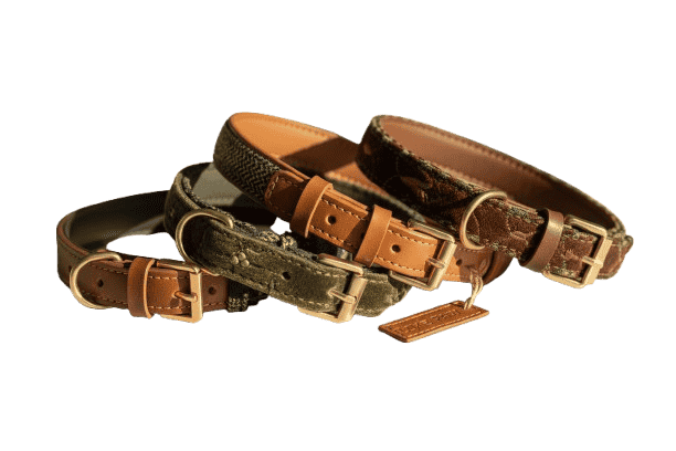 Dog Collar & Custom Dog Collars