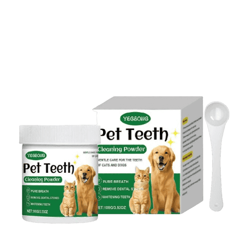 Dental Care