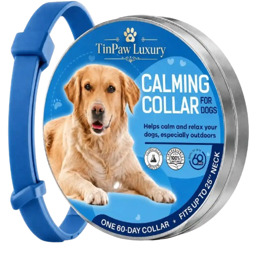 Reflective Dog Harness Lifestyle