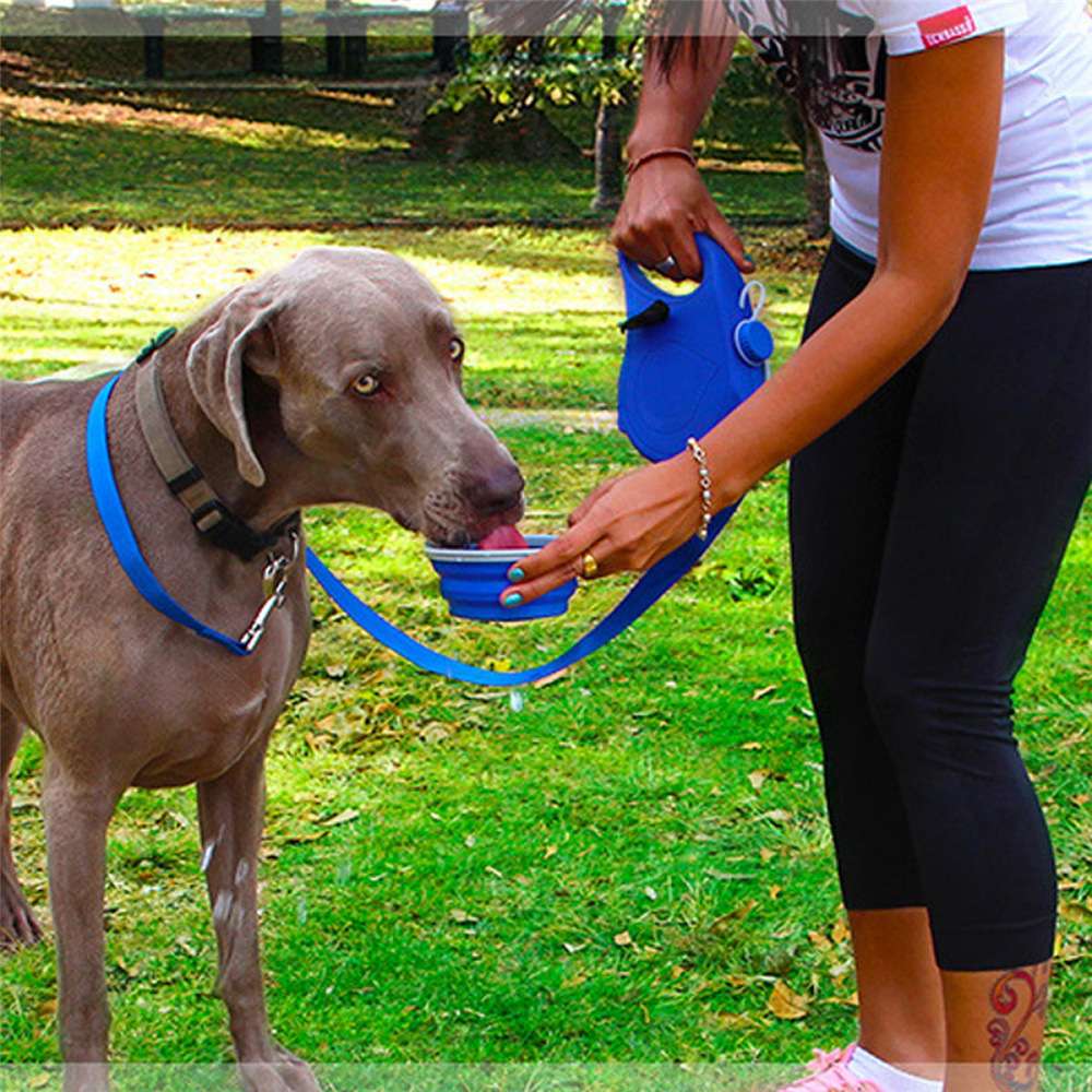 Dog Leash Water Bottle Bowl - Dog Gear - TinPaw