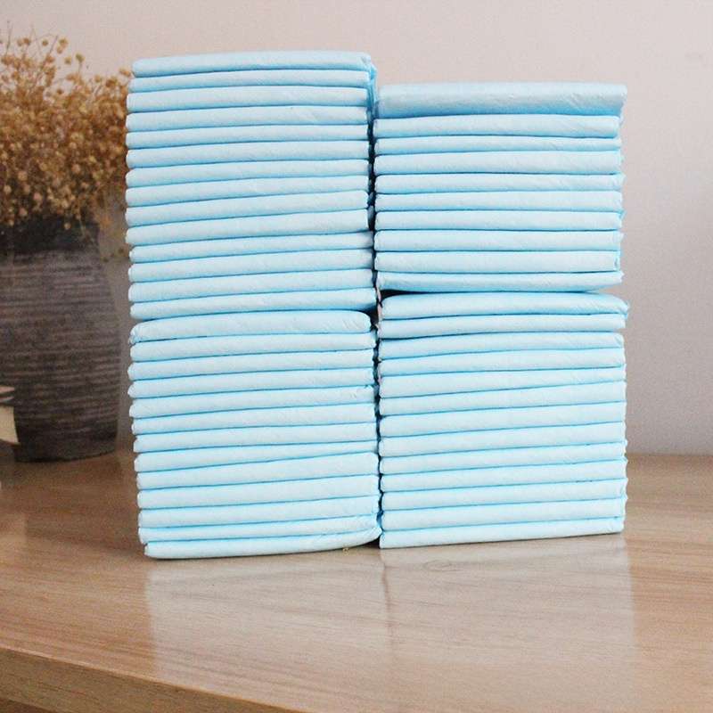 Charcoal Pet Training Pads - Dog Diapers - TinPaw - Medium S 100pcs 33x45cm - SU00156155 - Medium S 100pcs 33x45cm