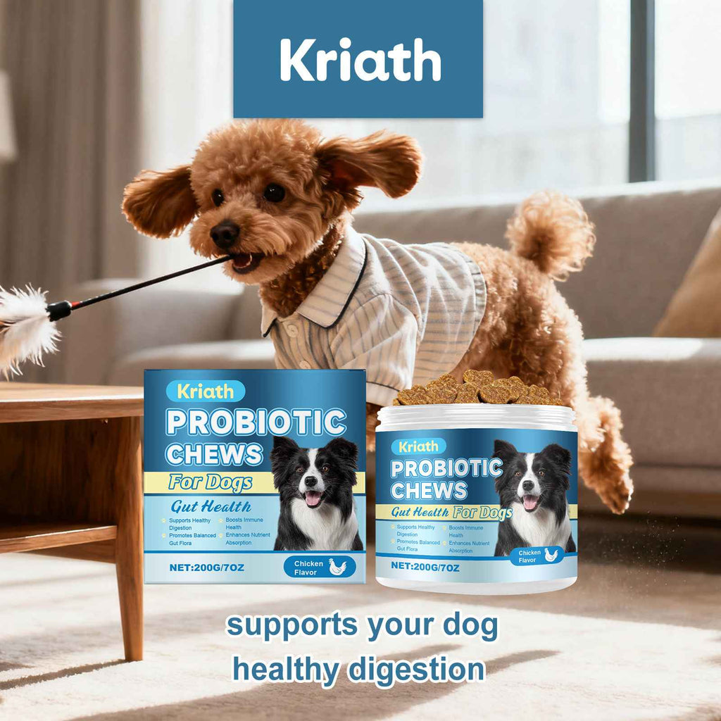 Dog Probiotic Gut Chews - Dog Health - TinPaw