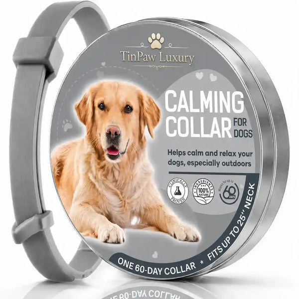 Pet Calming Pheromone Collar - Collars - TinPaw - Gray - SU00144154 - Gray
