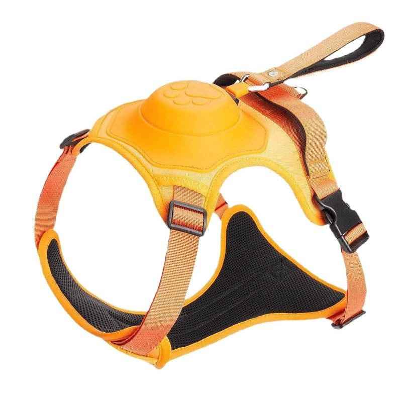 Dog Harness Leash Set - Dog Gear - TinPaw