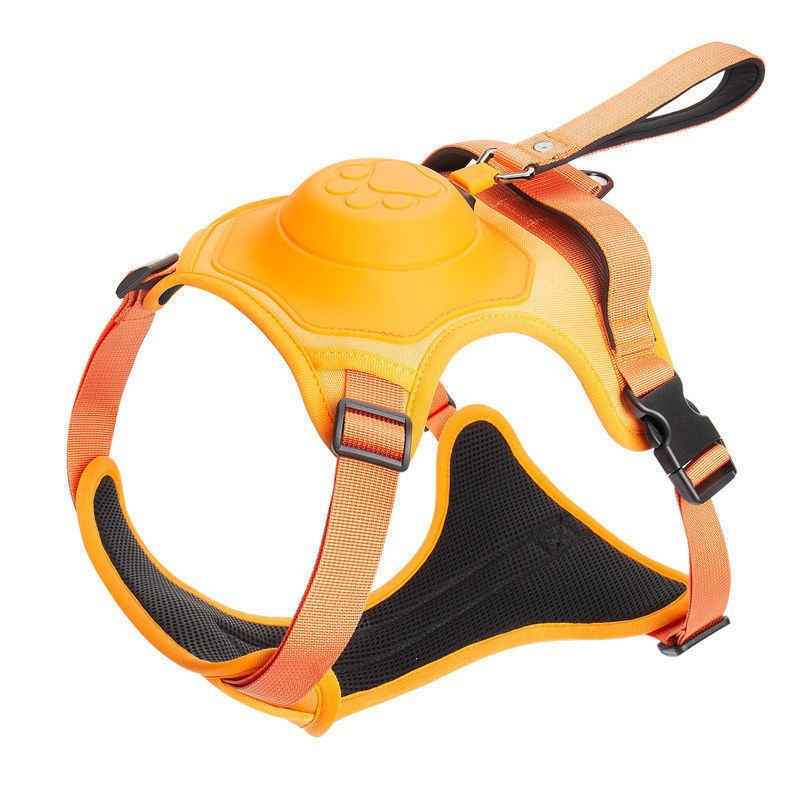 Dog Harness Leash Set - Dog Gear - TinPaw - Orange - L - SU00367870 - Orange - L