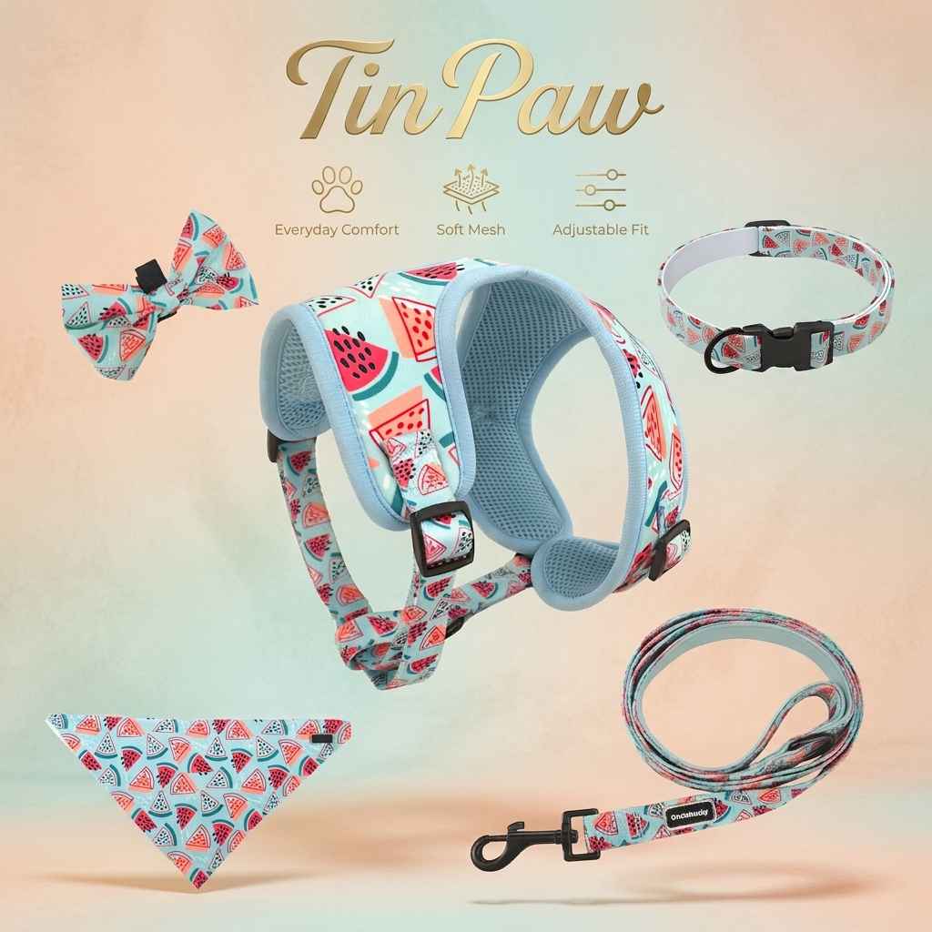 Dog Harness Leash Set - Dog Gear - TinPaw