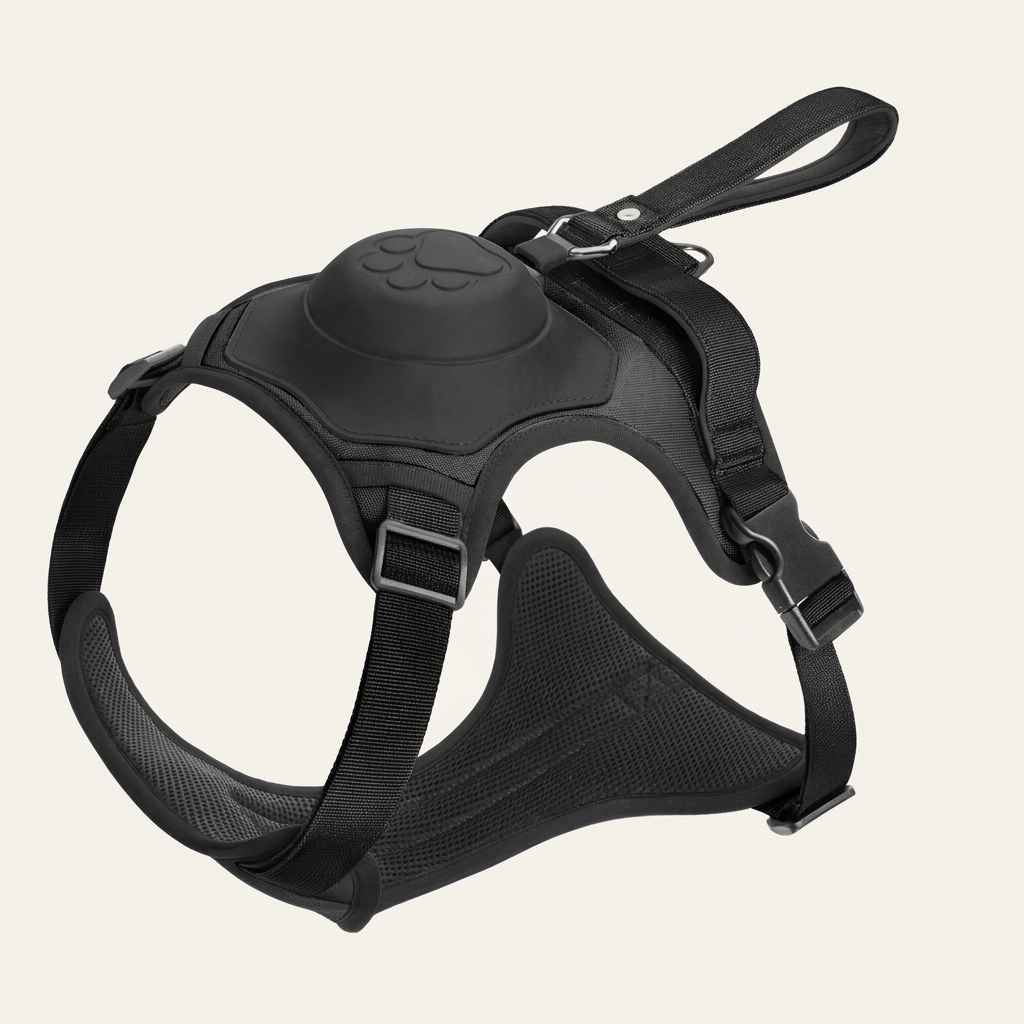 Dog Harness Leash Set - Dog Gear - TinPaw