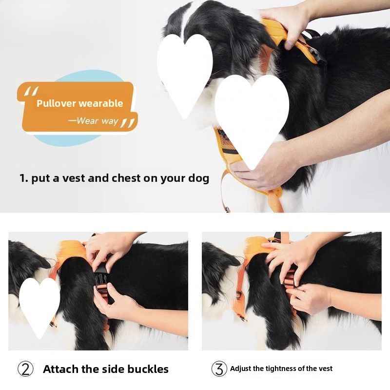Dog Harness Leash Set - Dog Gear - TinPaw
