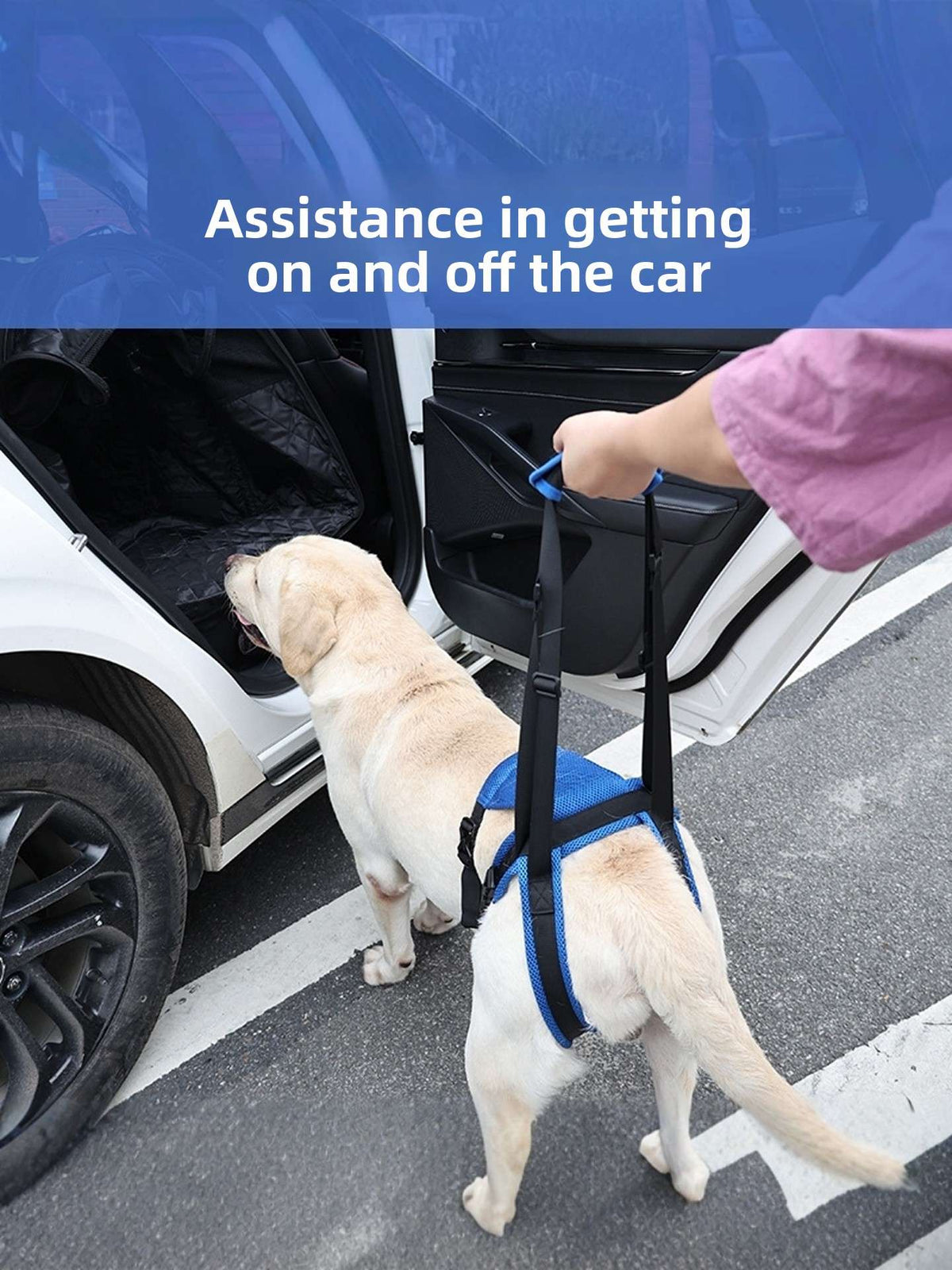 Dog Mobility Support Harness - Dog Gear - TinPaw