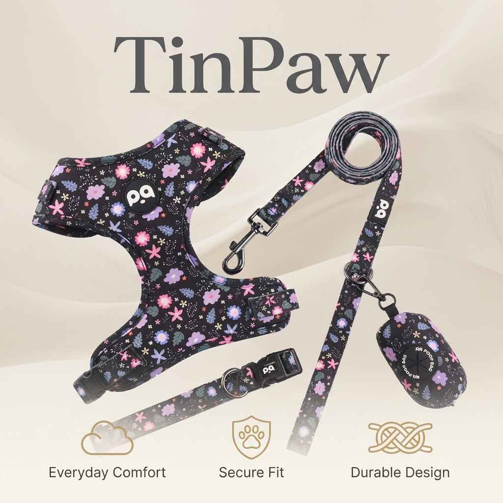 Patterned Dog Collar Leash - Dog Gear - TinPaw