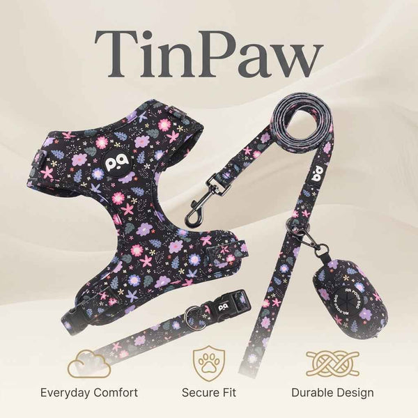 Patterned Dog Collar Leash - Dog Gear - TinPaw