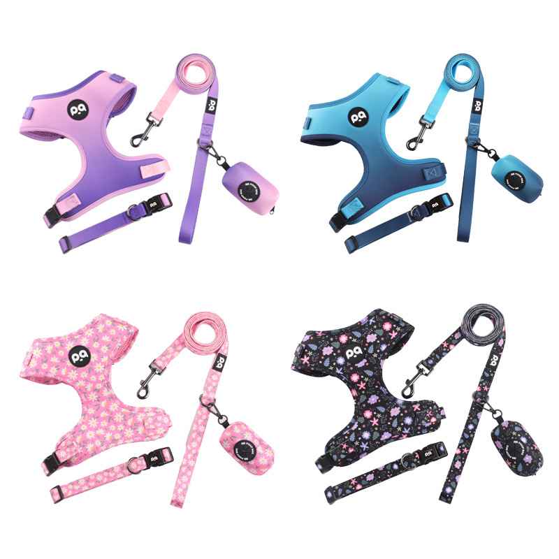 Patterned Dog Collar Leash - Dog Gear - TinPaw